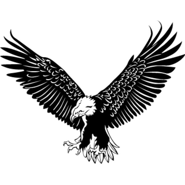 Eagle1 Thumbnail