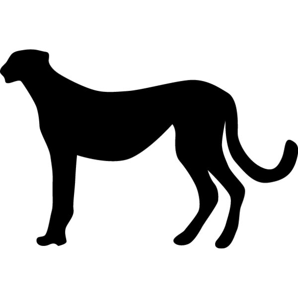 Big Cat  Tiger  Lion  Panther 26 Thumbnail