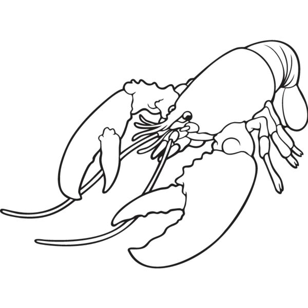 Lobster3 Thumbnail