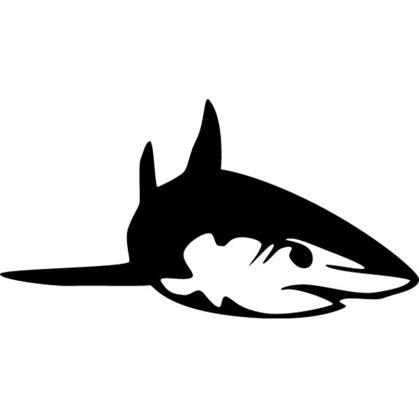 Great White Shark5 Thumbnail