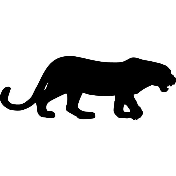 Big Cat  Tiger  Lion  Panther 14 Thumbnail