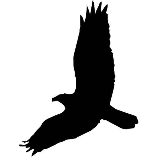 Bird Silhouette6 Thumbnail