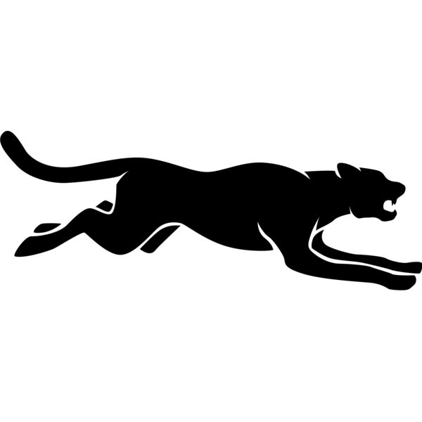 Big Cat  Tiger  Lion  Panther 8 Thumbnail