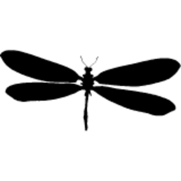 Flying Insect4 Thumbnail