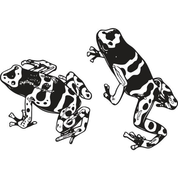Frogs Thumbnail