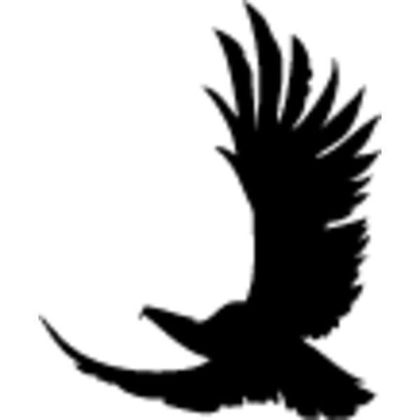 Flying Eagle Silhouette10 Thumbnail