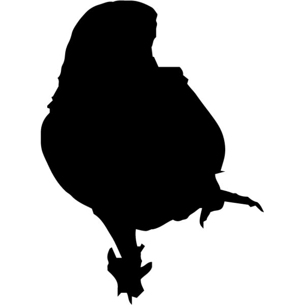 Parrot Silhouette5 Thumbnail