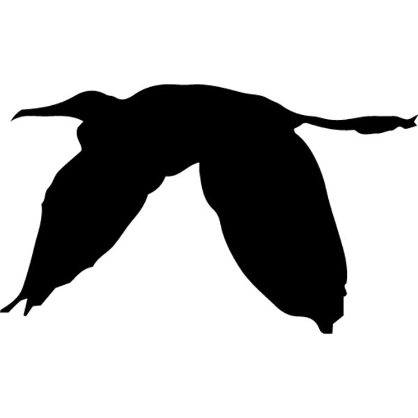 Bird Silhouette7 Thumbnail