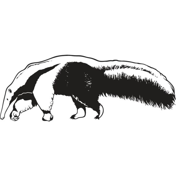 Anteater Thumbnail