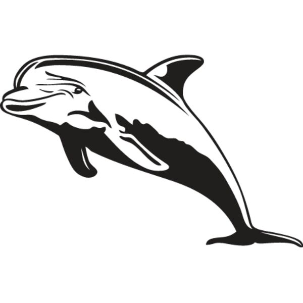 Dolphin1 Thumbnail