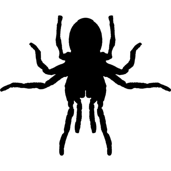 Spider Silhouette15 Thumbnail