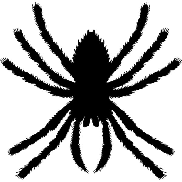 Spider Silhouette18 Thumbnail
