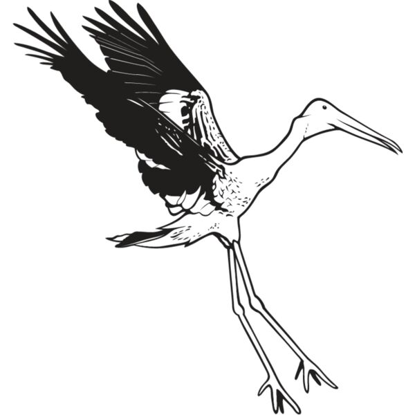 Stork Thumbnail