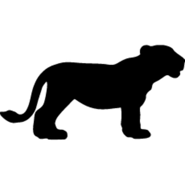 Big Cat  Tiger  Lion  Panther 18 Thumbnail