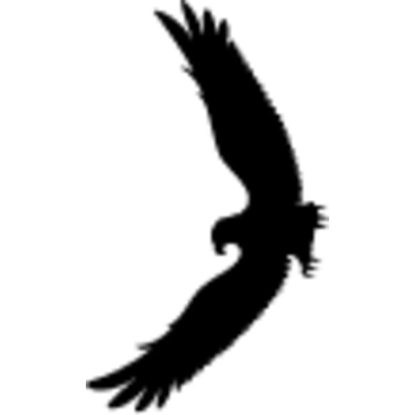 Flying Eagle Silhouette5 Thumbnail