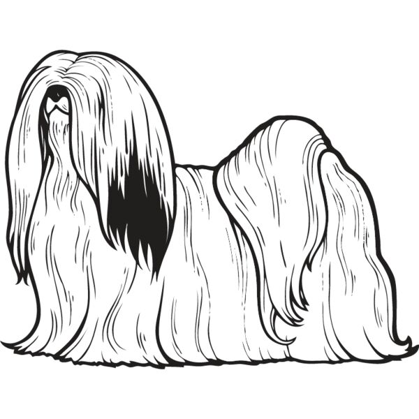 Lhasa Apso Thumbnail