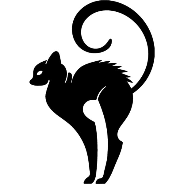 Elegant Cat4 Thumbnail