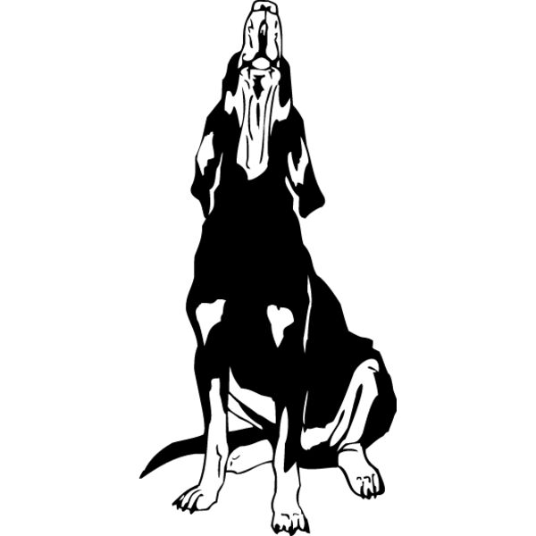 Coonhound Thumbnail