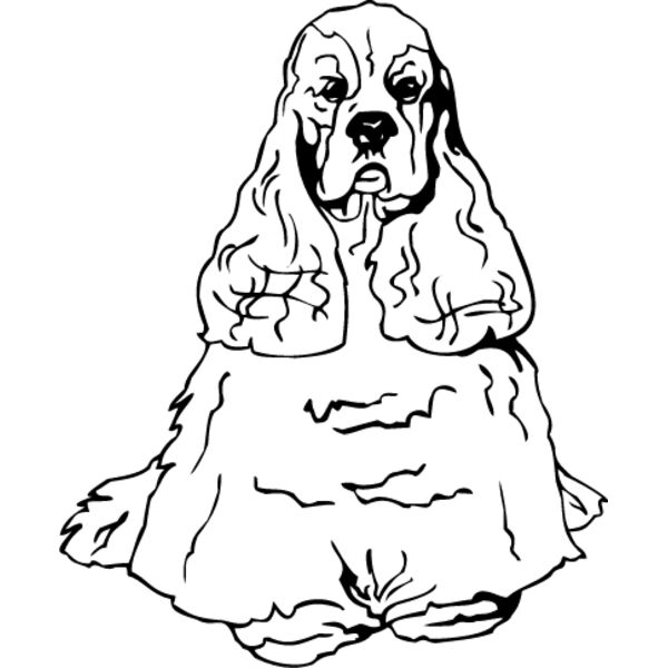 Cocker Spaniel1 Thumbnail