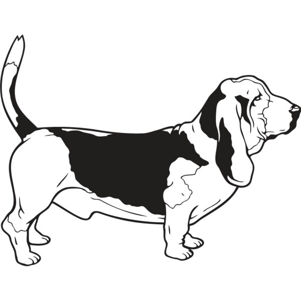 Basset Hound Thumbnail