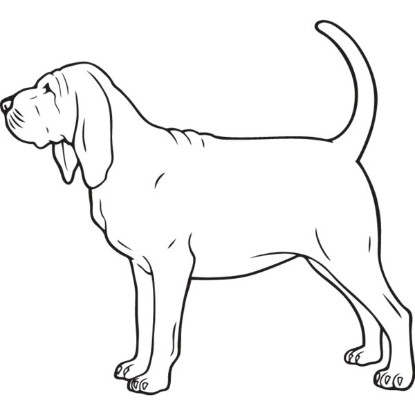 Bloodhound2 Thumbnail