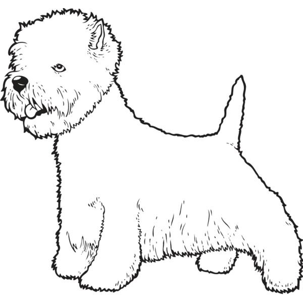 Highland Terrier2 Thumbnail