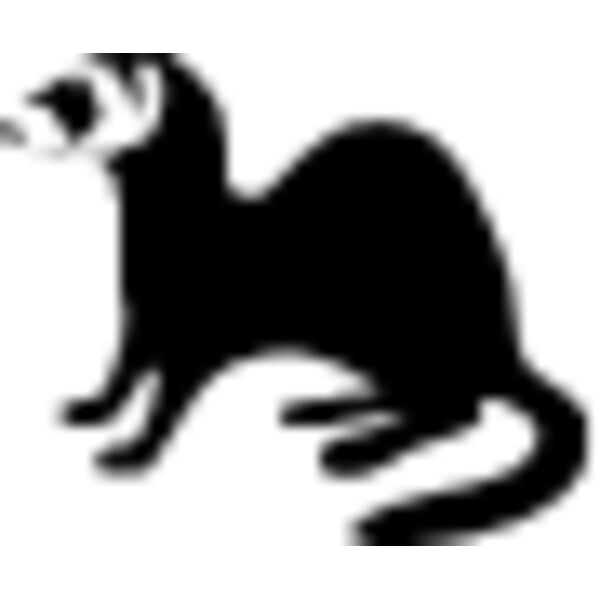 Ferret4 Thumbnail