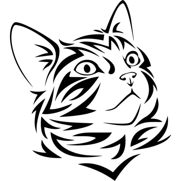 Tribal Cat1 Thumbnail