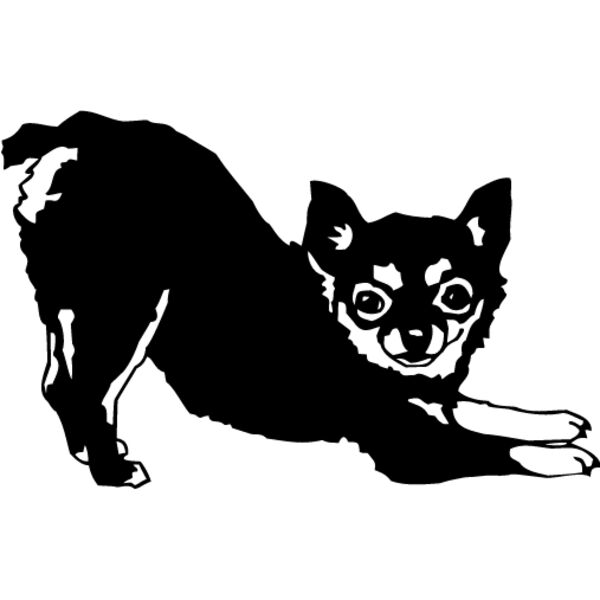 Chihuahua3 Thumbnail