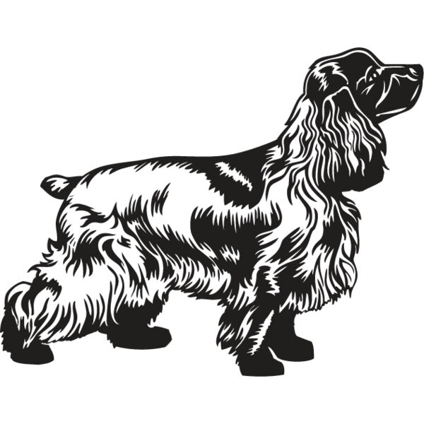Cocker Spaniel2 Thumbnail