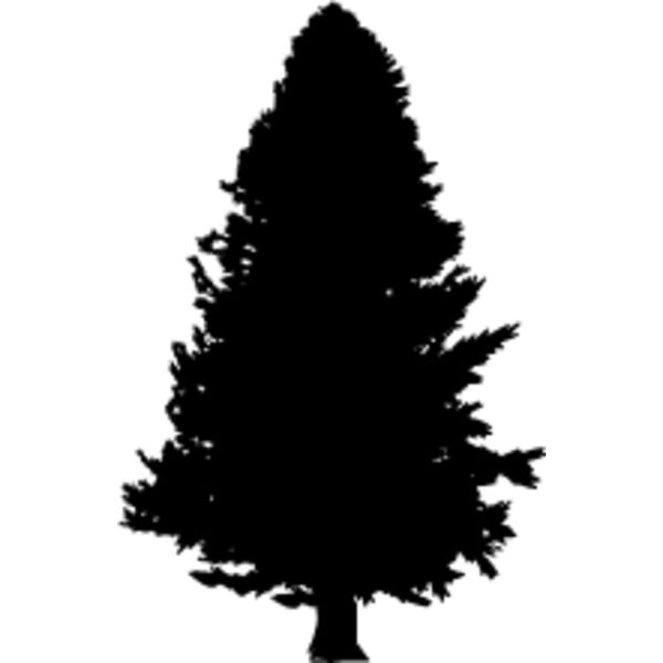 Pine Tree5 Thumbnail