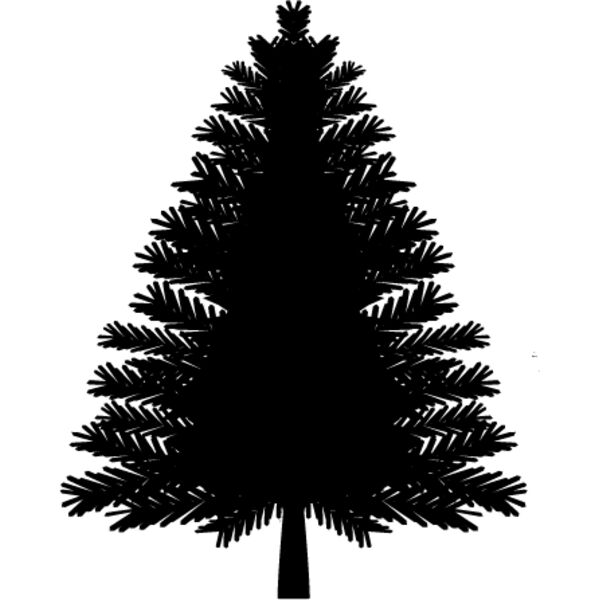 Pine Tree7 Thumbnail