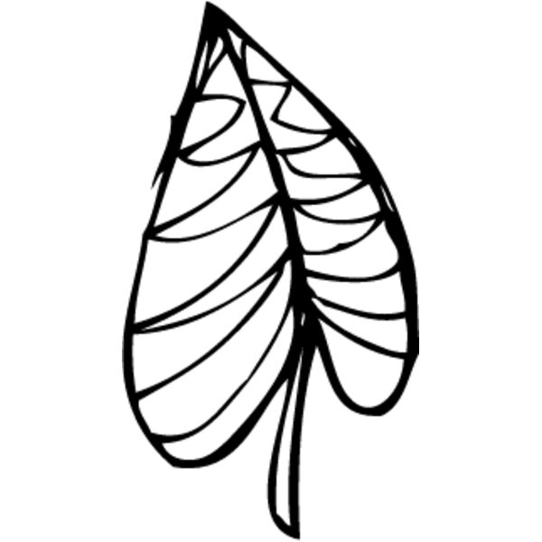 Leaf Line5 Thumbnail