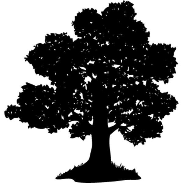 Trees Silhouette8 Thumbnail