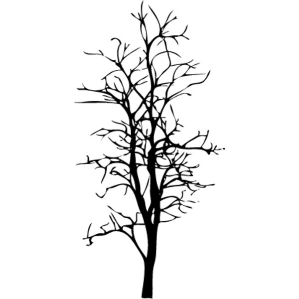 Bare Tree5 Thumbnail