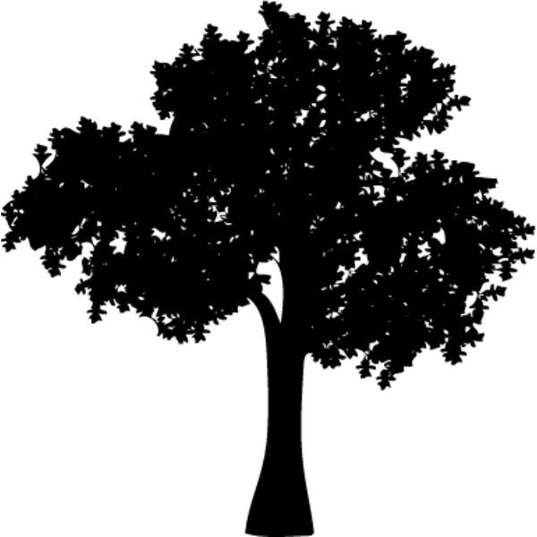 Trees Silhouette5 Thumbnail