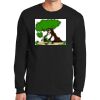 Ultra Cotton ® 100% Cotton Long Sleeve T Shirt Thumbnail